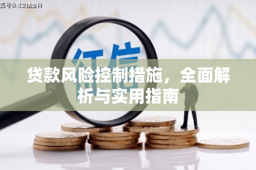 类乌齐贷款风险控制措施，全面解析与实用指南