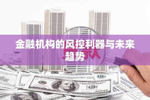 类乌齐金融机构的风控利器与未来趋势