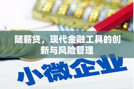 类乌齐随薪贷，现代金融工具的创新与风险管理