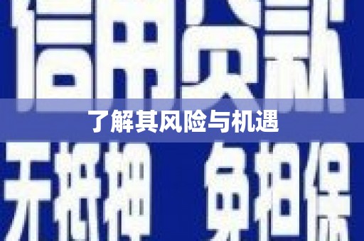 类乌齐了解其风险与机遇