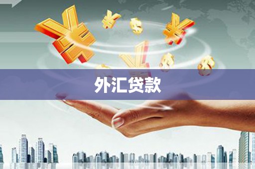 类乌齐外汇贷款