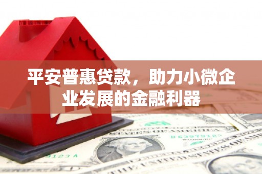 类乌齐平安普惠贷款，助力小微企业发展的金融利器