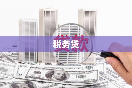 类乌齐税务贷