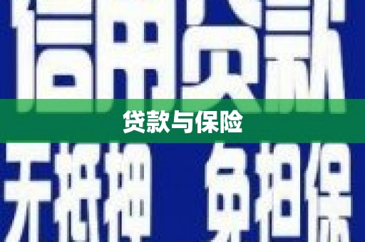 类乌齐贷款与保险