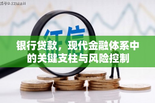 类乌齐银行贷款，现代金融体系中的关键支柱与风险控制