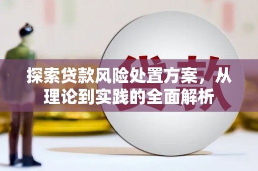 类乌齐探索贷款风险处置方案，从理论到实践的全面解析