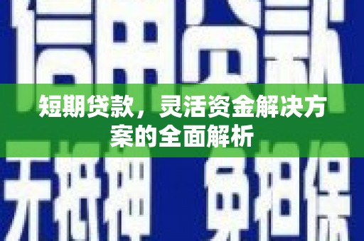 类乌齐短期贷款，灵活资金解决方案的全面解析