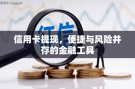 类乌齐信用卡提现，便捷与风险并存的金融工具