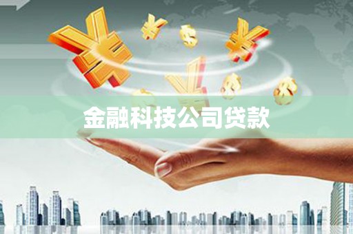 类乌齐金融科技公司贷款