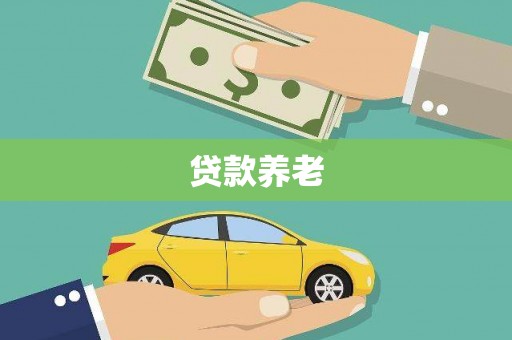 类乌齐贷款养老