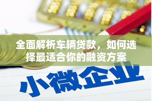 类乌齐全面解析车辆贷款，如何选择最适合你的融资方案