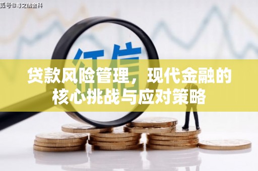 类乌齐贷款风险管理，现代金融的核心挑战与应对策略