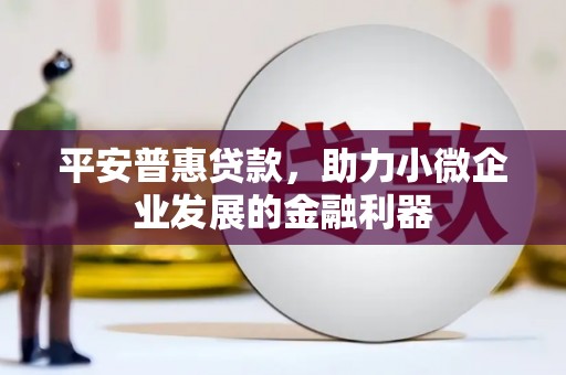 类乌齐平安普惠贷款，助力小微企业发展的金融利器