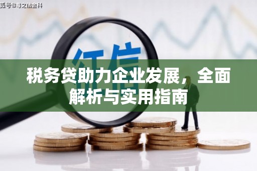 类乌齐税务贷助力企业发展，全面解析与实用指南