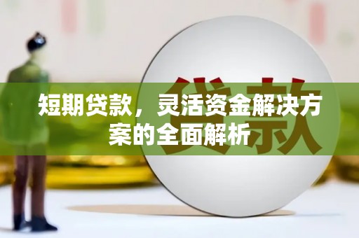 类乌齐短期贷款，灵活资金解决方案的全面解析