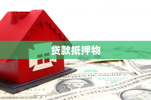 类乌齐贷款抵押物