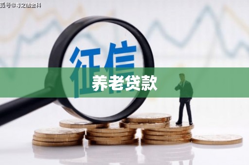 类乌齐养老贷款