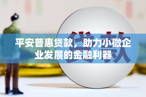 类乌齐平安普惠贷款，助力小微企业发展的金融利器