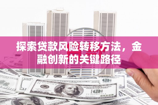 类乌齐探索贷款风险转移方法，金融创新的关键路径