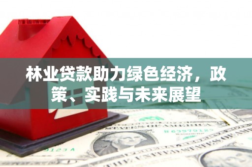 类乌齐林业贷款助力绿色经济，政策、实践与未来展望