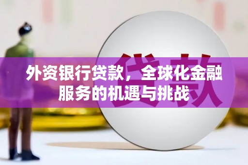 类乌齐外资银行贷款，全球化金融服务的机遇与挑战