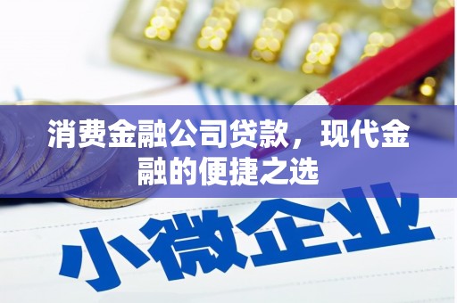 类乌齐消费金融公司贷款，现代金融的便捷之选