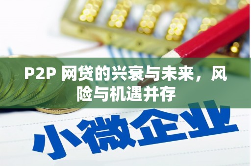 类乌齐P2P 网贷的兴衰与未来，风险与机遇并存