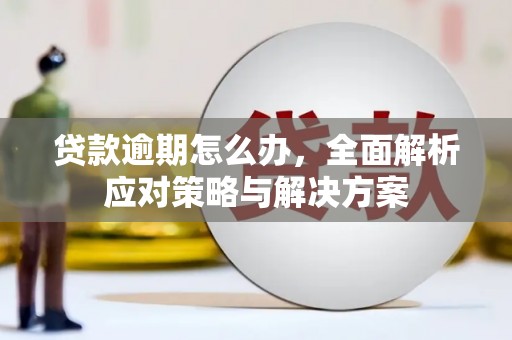 类乌齐贷款逾期怎么办，全面解析应对策略与解决方案