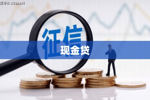 类乌齐现金贷