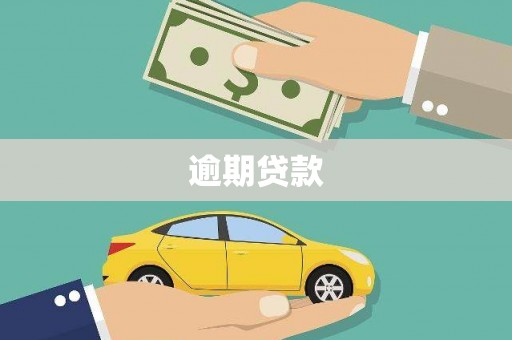 类乌齐逾期贷款